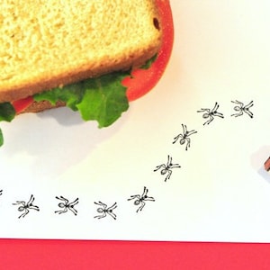 Ant  Rubber Stamp