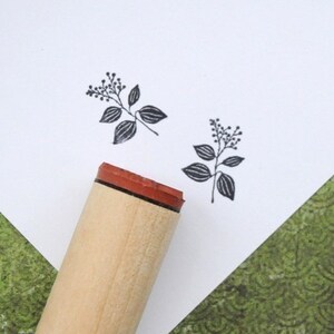 May include: A wooden stamp with a red rubber base and a botanical design. The stamp has a small sprig of leaves and berries. Two impressions of the stamp are visible on white paper. The background includes a green patterned paper.