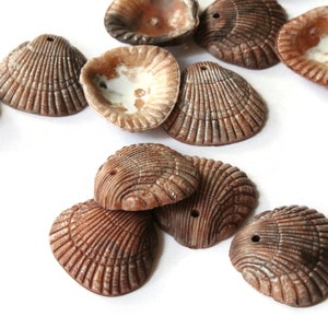 12 18mm Brown Plastic Shell Beads Oyster Shell Beads Jewelry Making Beading Supplies Beach Beads Vintage Mermaid Flat Shell Beads