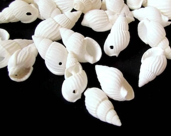 40 White Shell Beads 17mm to 27mm Spiral Seashell Beads Natural Beads Jewelry Making Beading Supplies Beach Beads Sea Shell Beads Smileyboy