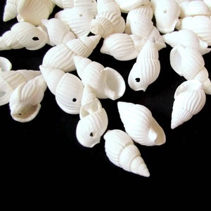 40 White Shell Beads 17mm to 27mm Spiral Seashell Beads Natural Beads Jewelry Making Beading Supplies Beach Beads Sea Shell Beads bI3 image 1