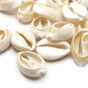 20 20 mm naar achteren gesneden kauri schelpkralen Zeeschelpkralen Natuurlijke kralen Sieraden maken Kralenbenodigdheden Geboorde kralen bK2