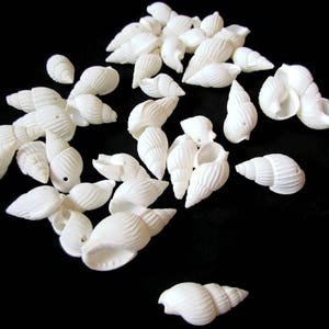 40 White Shell Beads 17mm to 27mm Spiral Seashell Beads Natural Beads Jewelry Making Beading Supplies Beach Beads Sea Shell Beads bI3 image 4