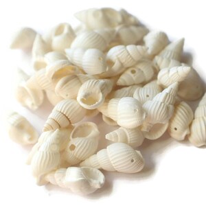 40 White Shell Beads 17mm to 27mm Spiral Seashell Beads Natural Beads Jewelry Making Beading Supplies Beach Beads Sea Shell Beads bI3 image 5