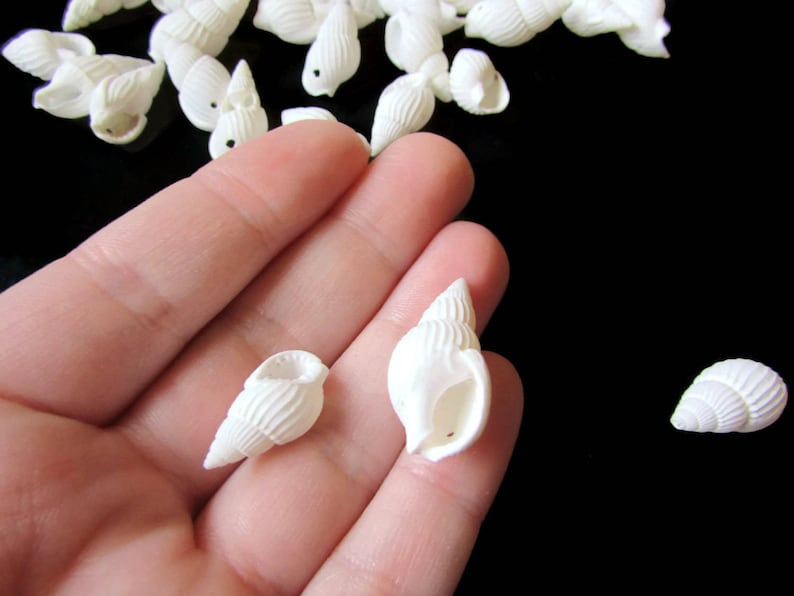40 White Shell Beads 17mm to 27mm Spiral Seashell Beads Natural Beads Jewelry Making Beading Supplies Beach Beads Sea Shell Beads bI3 image 2