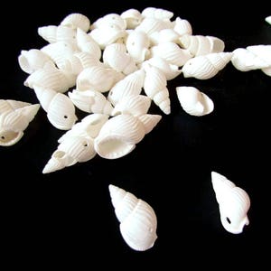 40 White Shell Beads 17mm to 27mm Spiral Seashell Beads Natural Beads Jewelry Making Beading Supplies Beach Beads Sea Shell Beads bI3 image 3