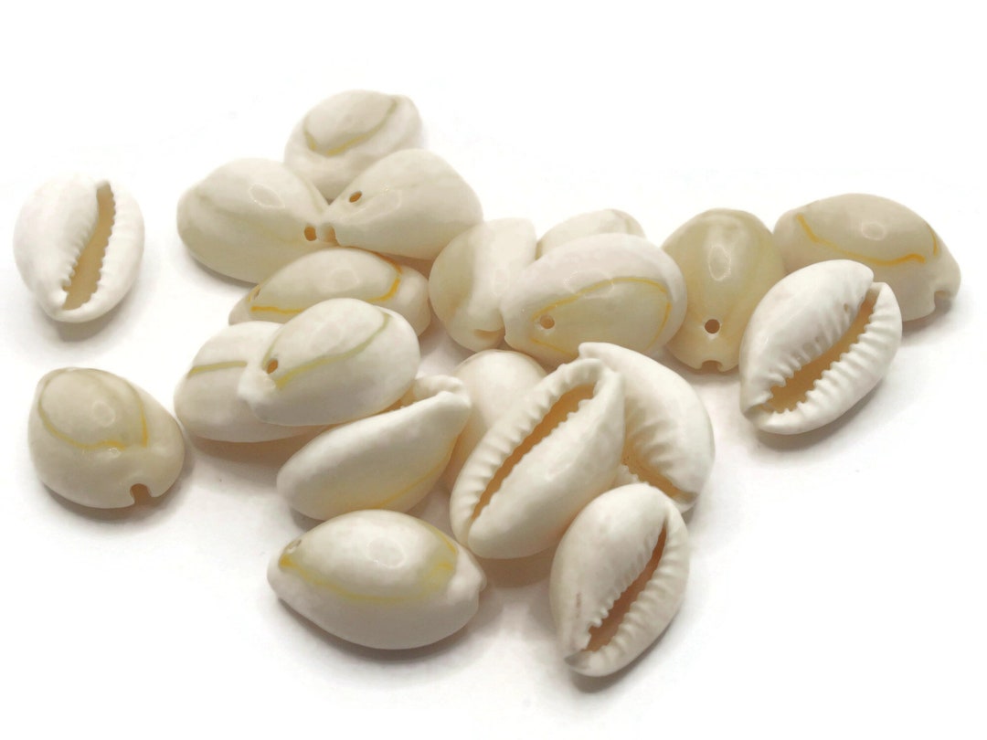 20 20mm Cowrie Shell Beads Seashell Beads Natural Beads Jewelry Making ...