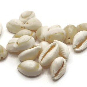 20 20 mm kauri-schelpkralen Schelpkralen Natuurlijke kralen Sieraden maken Kralenbenodigdheden Geboorde kralen bF2