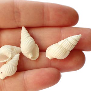 May include: Four small white seashells with a ribbed texture. The shells are arranged in a hand.