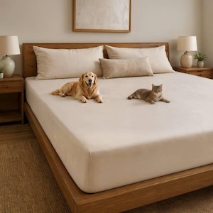 May include: A light beige fitted sheet covers a large bed frame. A golden retriever dog and a tabby cat are resting on the smooth, solid-coloured fabric. The bedding set includes two large rectangular pillows and one smaller rectangular accent pillow.