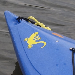 Gecko, MEDIUM,  Kayak Decal