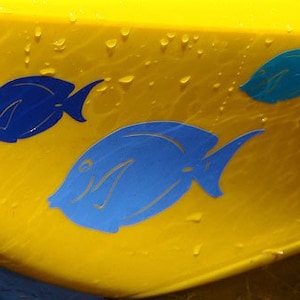 Blue Tang, SMALL or MEDIUM, Kayak Decal