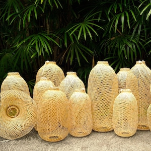 Può includere: Una collezione di 10 cesti cilindrici intrecciati di colore marrone chiaro di diverse dimensioni. I cesti sono realizzati con materiali naturali e presentano un motivo delicato e intricato.