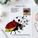 Ladybug Stained Glass Pattern, Cute Insect Window Decoration, Handmade ...