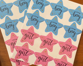 Gender Reveal Party Stickers Team Boy & Team Girl Pink Blue Star Stickers  Baby Shower Small Sticker Pack, Gender Reveal Party Decals