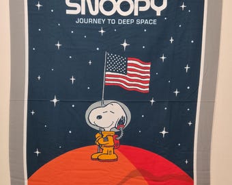Snoopy Journey to Deep Space Panel 36