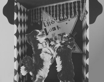 Border Collie Dog art whimsical black and white altered art box assemblage with dancing dogs