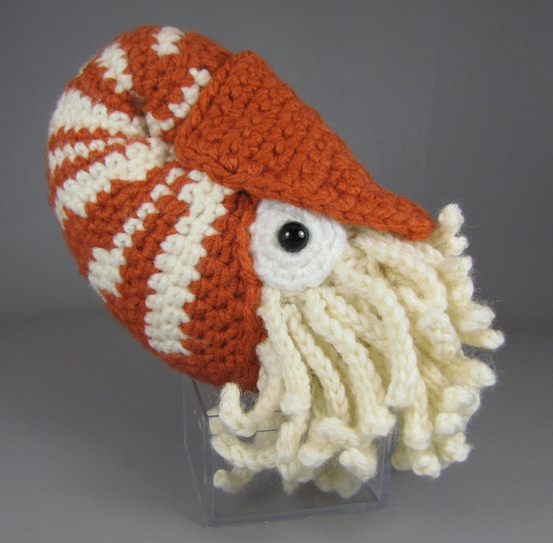 Chambered Nautilus PDF amigurumi crochet pattern image 4