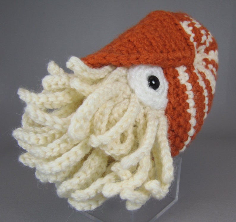 Chambered Nautilus PDF amigurumi crochet pattern image 2