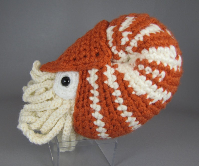 Chambered Nautilus PDF amigurumi crochet pattern image 3