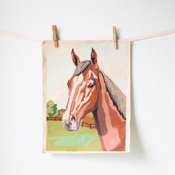 Vintage Paint By Number Horse Canvas