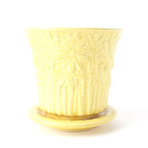 Vintage McCoy Daisy Planter: 5" Ceramic Floral Pottery