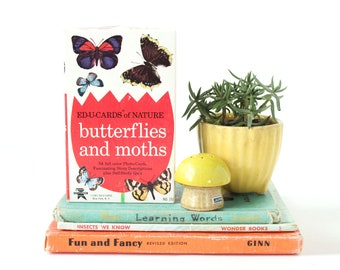 Vintage Butterfly Cards, Butterflies and Moths, Butterfly Flash Cards, 1961, Original Box, ED-U-CARDS, Vintage Butterfly Decor