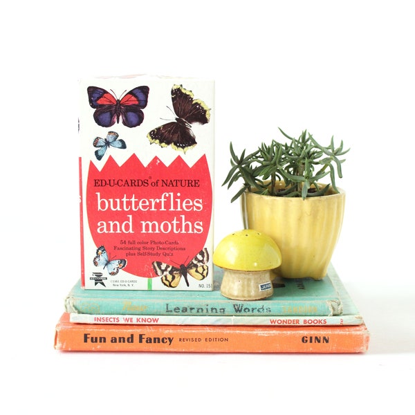 Vintage Butterfly Cards, Butterflies and Moths, Butterfly Flash Cards, 1961, Original Box, ED-U-CARDS, Vintage Butterfly Decor