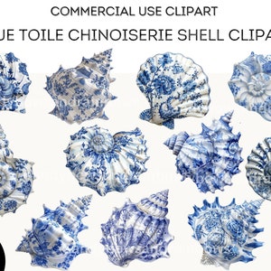 Imágenes Prediseñadas de conchas de mar de Toile azul - 32 imágenes PNG de conchas de mar de Toile - uso comercial permitido