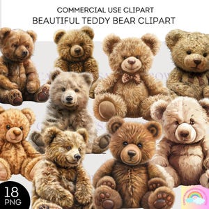 Schöne Teddy Bär Clipart - 18 PNG Bilder von Teddybären - Realistische Teddy Bär Clipart - Kommerzielle Nutzung erlaubt
