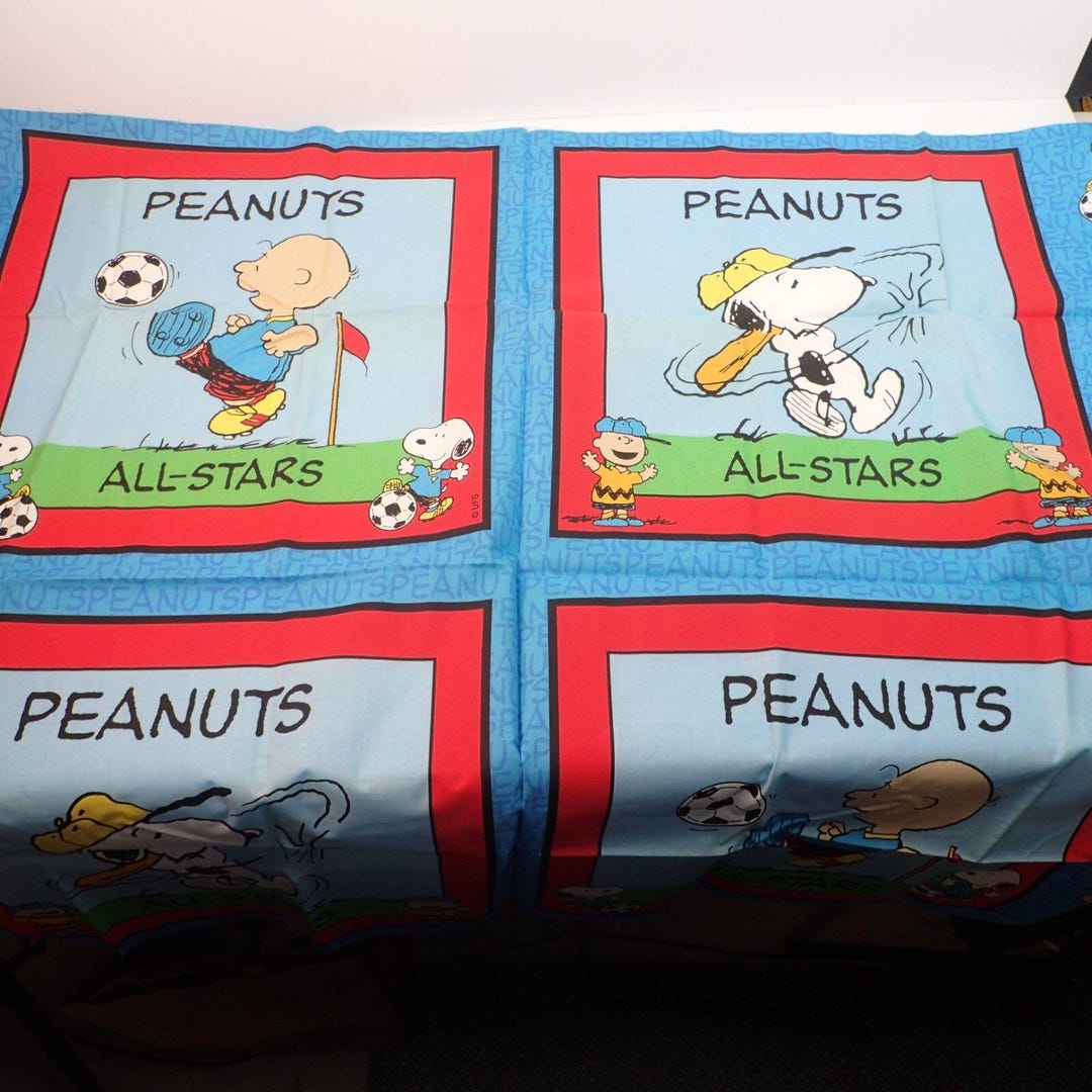 Vintage Sewing Panel Peanuts Snoopy & Charlie Brown All Star Pillows ...