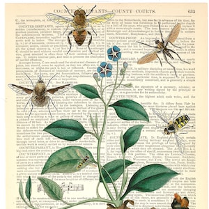 May include: A vintage illustration of a plant with green leaves and roots, surrounded by various insects, including butterflies, bees, and wasps. The illustration is set against a background of a page from an old book with text about counter-irritants and county courts.