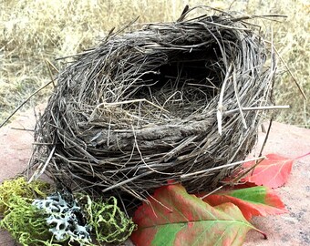 Bird's Nest Genuine Wedding Ring Bearer Nature Decor