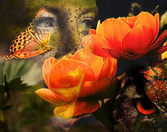 Wall Art Flowers Woman Owl Butterfly Collage Photography Surreal