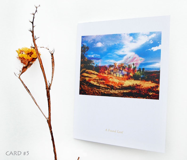 Note Cards Art Landscape Photography Pastoral Whimsical image 6