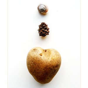 Kitchen Decor Fine Art Photography Heart like a Potato
