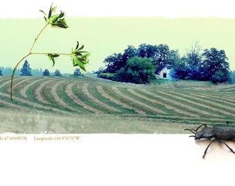 Franz Kafka’s House Collage Art Surreal Original Photography