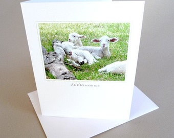 Spring Greeting Card Baby Lamb Country Life