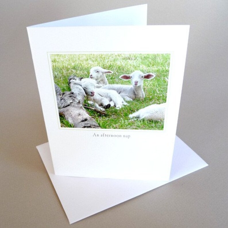 Spring Greeting Card Baby Lamb Country Life image 1