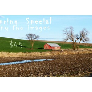 May include: A red barn with a white roof sits on a grassy hill. Two trees stand in front of the barn. The text "Spring Special any two images $45" is written in white on a blue sky background.