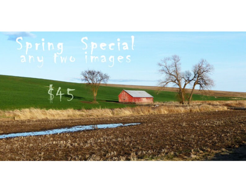 May include: A red barn with a white roof sits on a grassy hill. Two trees stand in front of the barn. The text "Spring Special any two images $45" is written in white on a blue sky background.
