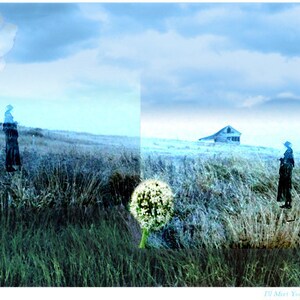 May include: A faded, blue sky with white clouds over a field of tall grass. Two figures stand in the distance, one near a small, white building. A large, white dandelion is in the foreground.