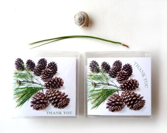 Thank You Cards Small Blank Pine Cones Green Branches