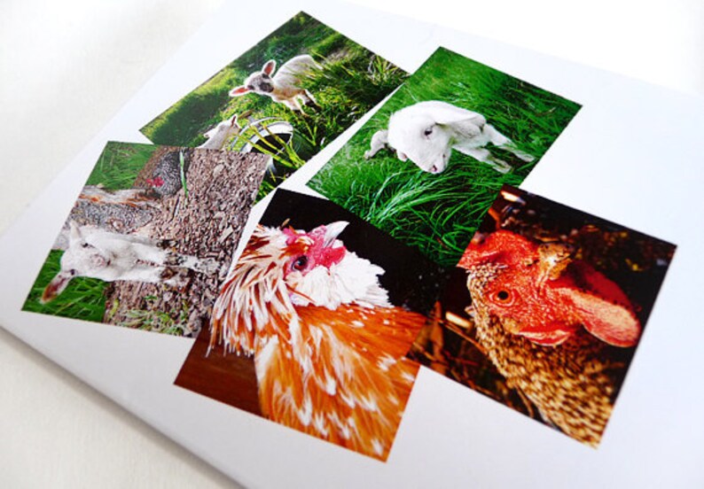 red bride wedding dress