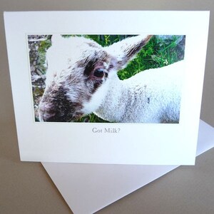 Grußkarte Frühling Baby Lamm Barnyard kleine Prinzessin