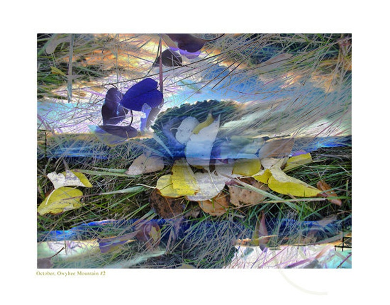 May include: A digital art piece with a blue, purple, and yellow color scheme. The image features a landscape with a sky, grass, and leaves. The text "October, Owyhee Mountain #2" is at the bottom of the image.