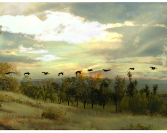 Autumn Landscape Photography Collage Original Fine Art Photograph
