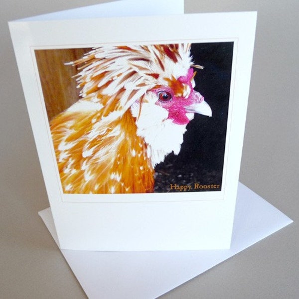 Rooster Greeting Card Andy Warhol Spring Blank Art Photography