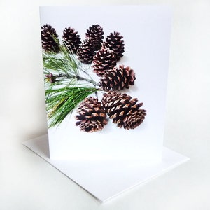 Pine Cones Holidays Card  Branches Forest Collection