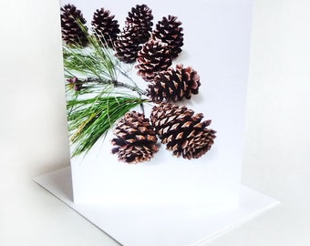 Pine Cones Holidays Card  Branches Forest Collection